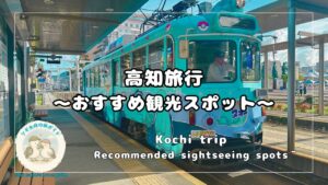 ヌオー電車